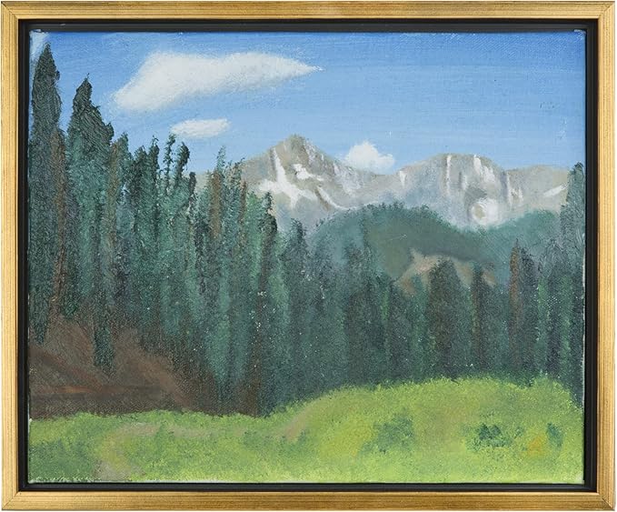 Easy Deliver Metal Floating Picture Frame for 24 x 36 Canvas Oil Painting
