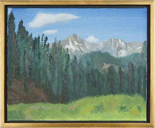 Easy Deliver Metal Floating Picture Frame for 24 x 36 Canvas Oil Painting